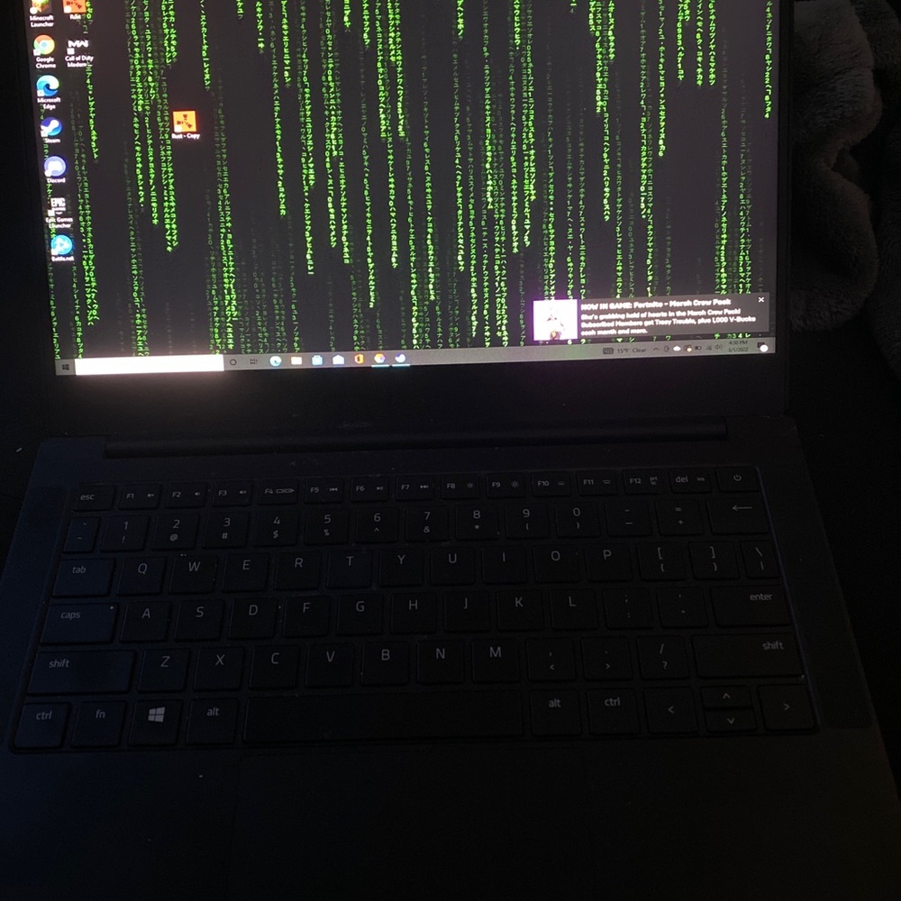Razor gaming laptop